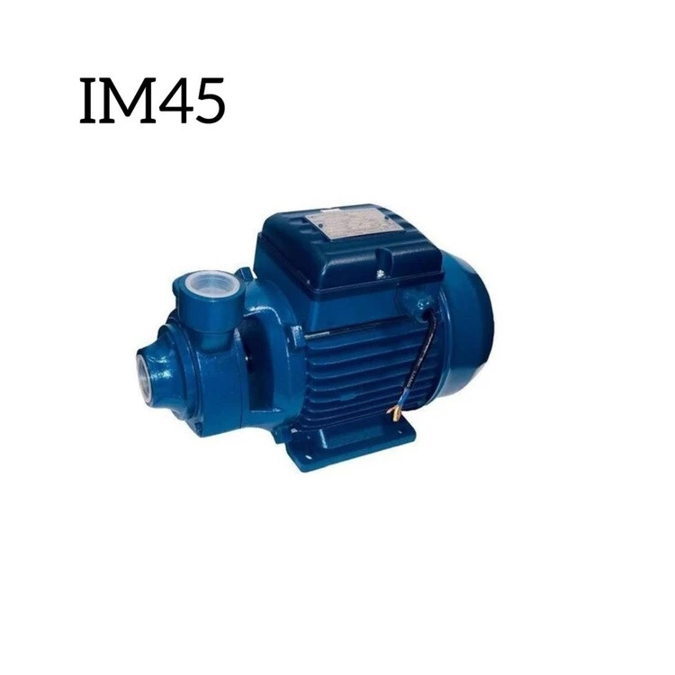 پمپ آب خانگی ایکار | مدل IM45 | تکفاز نیم اسب | محیطی خروجی 1 اینچ | هد 35 متر